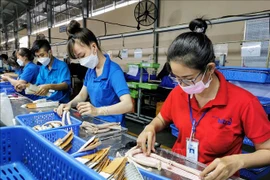 芹苴市GRDP首次实现两位数增长