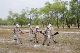 越南广治省成功清除2.75亿平米地雷污染土地