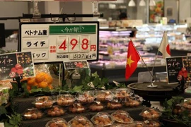 开放农产品市场：按照国际标准生产农产品