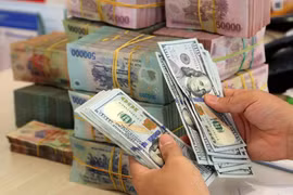 5月13日上午越盾对美元汇率中间价下调12越盾