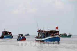 解除IUU“黄牌”警告：加大对非法捕捞行为的检查与处理力度