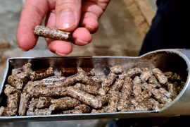 木屑和木颗粒出口增加 越南木材行业有望创汇165亿美元