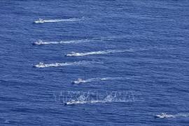 越南领导人就日本观光船北海道失联致慰问电