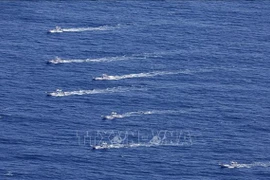 越南领导人就日本观光船北海道失联致慰问电