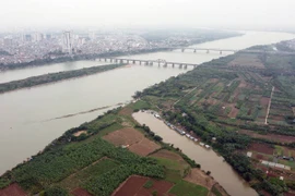 河内计划将红河泥滩规划成为旅游文化公园 