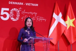 越南与丹麦建交50周年庆典在河内举行