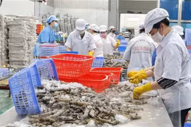 对非洲市场出口水产品咨询会将在巴地头顿省举行