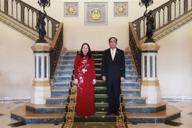 越南国家副主席武氏映春会见泰国总理巴育·占奥差