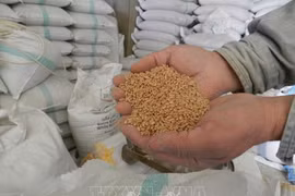 为粮食安全采取应急措施