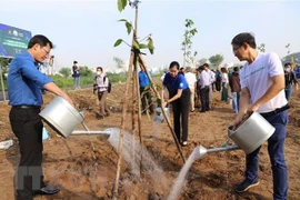 胡志明市启动城市植树活动 实施“百万棵树——绿色越南”计划