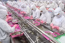 越南虾论坛的数字应用程序正式上线