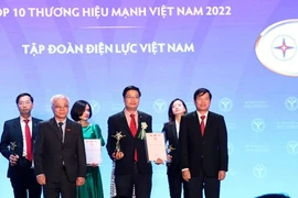 2022年越南强势品牌榜单出炉