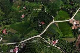 北江省注重提高山区和少数民族地区群众的生活水平