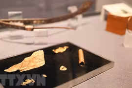 探索河内升龙皇宫珍宝