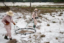 广治省排雷工作成效明显 清理的土地面积达逾2.5万公顷