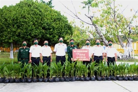 平定省军事指挥部向长沙岛县赠送2000棵矮种椰子苗
