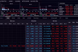 越南股市：25日早盘暴跌 HOSE市值蒸发超130万亿越盾