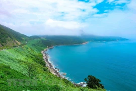 岘港市加快推进山茶半岛和各处海滩旅游活动复苏