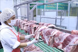 临近春节肉类和肉制品进口量不会大幅增加