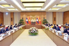 进一步深化越老国会的合作关系