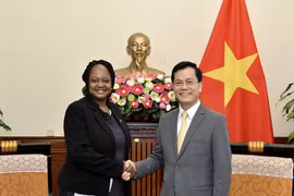 越南与美国推动全面伙伴关系走向深入、高效、务实发展