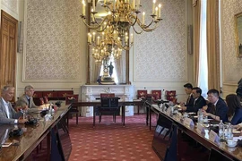 加强越南与比利时议员友好小组间合作