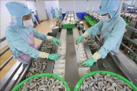 2022年越南企业“提速”