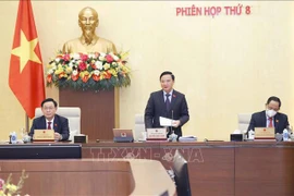 国会常委会第八次会议：考虑补充国旗、国徽、国歌版权条款