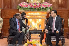 芹苴市积极促进与新加坡的经贸与投资合作关系