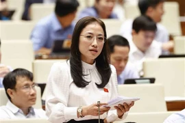 第十五届国会第四次会议：对监察领域进行质询