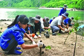 在气候变化中努力保障人权 