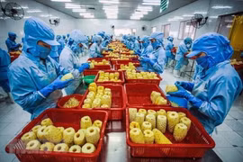 越南农产品加速进军美国市场