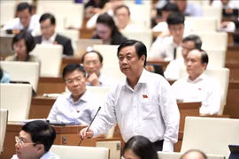 越南第十五届国会第三次会议：专题询问活动围绕农业、金融、银行、交通运输等四大问题