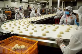 越南和印度尼西亚合作成为该地区的经济火车头