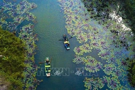  越南宁平省举办《保护世界文化和自然遗产公约》50周年纪念活动