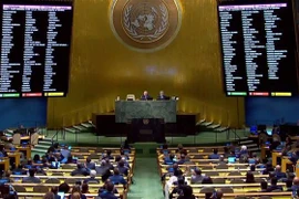 联合国大会通过了有关乌克兰局势的决议 越南呼吁结束冲突