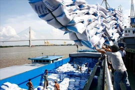上周越南大米出口价格与前一周相比基本持平