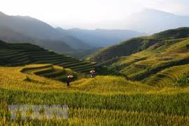 东盟对旅游积极增长展望保持乐观