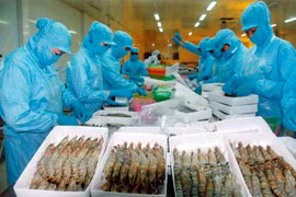 越南茶荣省努力提高海洋捕捞业经济效益