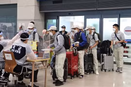 提高国家对国外劳务派遣工作的管理质效