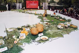 越南全国特色菜肴烹饪并塑造成越南美食地图模型活动获纪录认证