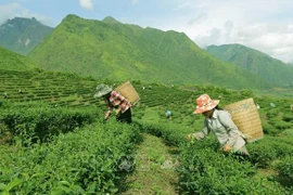 为贫困地区发展经济夯实基础