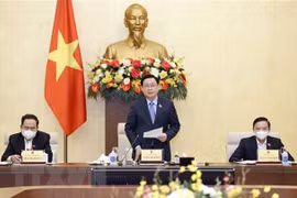 国会主席王廷惠：针对选民和人民关心的问题不回避不迂回正面予以澄清和解答