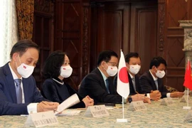 张氏梅：越南重视与日本的关系