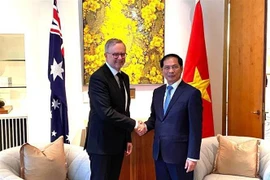越南外交部长裴青山礼节性拜会澳大利亚总理安东尼·阿尔巴尼斯