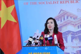 越南坚决反对并要求中国台湾取消非法演习活动