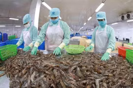 助力越南经济稳定增长的三大因素