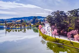 大叻——旅游和休闲度假的城市