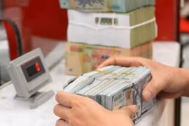 汇率波动及其对越南经济的影响