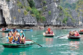 印度游客赴越南旅游人数激增